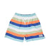 UPF 50 Wesley Swim Trunks w/ Mesh Liner- Venice Stripe