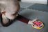 ToyLab - Bell Rattle - Clamshell Packaging: Clamshell Transparent Packaging