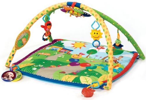 Infant Play Mat/ Play Gym Rental