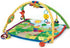 Infant Play Mat/ Play Gym Rental