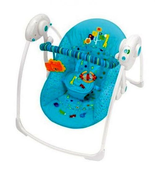 Portable Baby Swing Rental