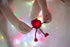Glo Pals Character Friend w/ 2 Light Up Cubes - Sammy Red