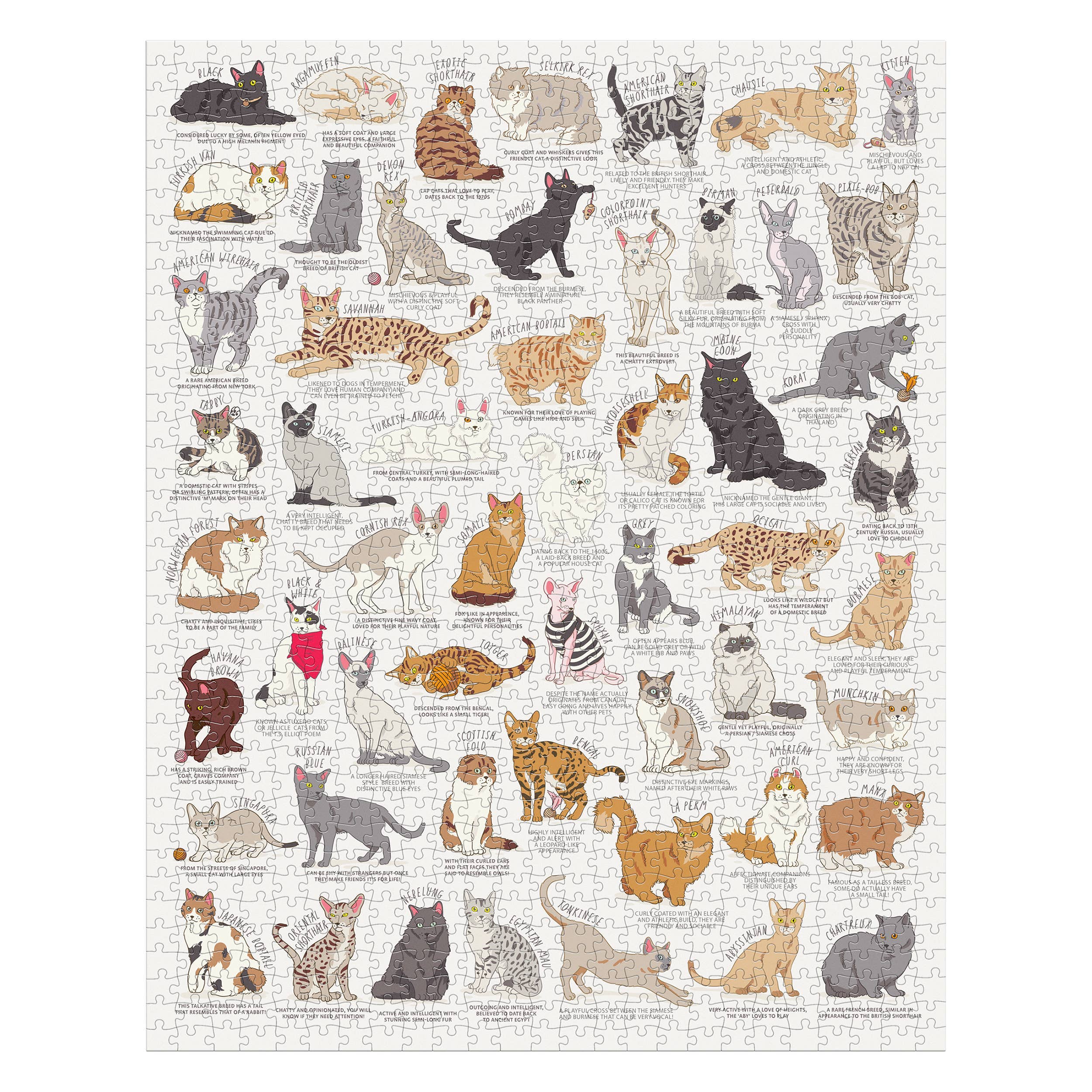Chronicle Books - Cat Lover's 1000 Piece Jigsaw Puzzle