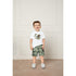 Elephant Set-S25