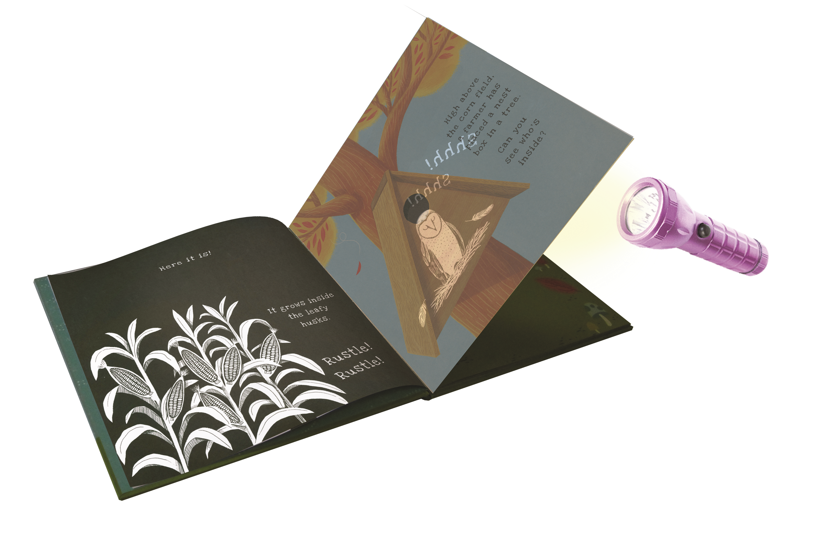 EDC Publishing - Shine-A-Light: On the Farm