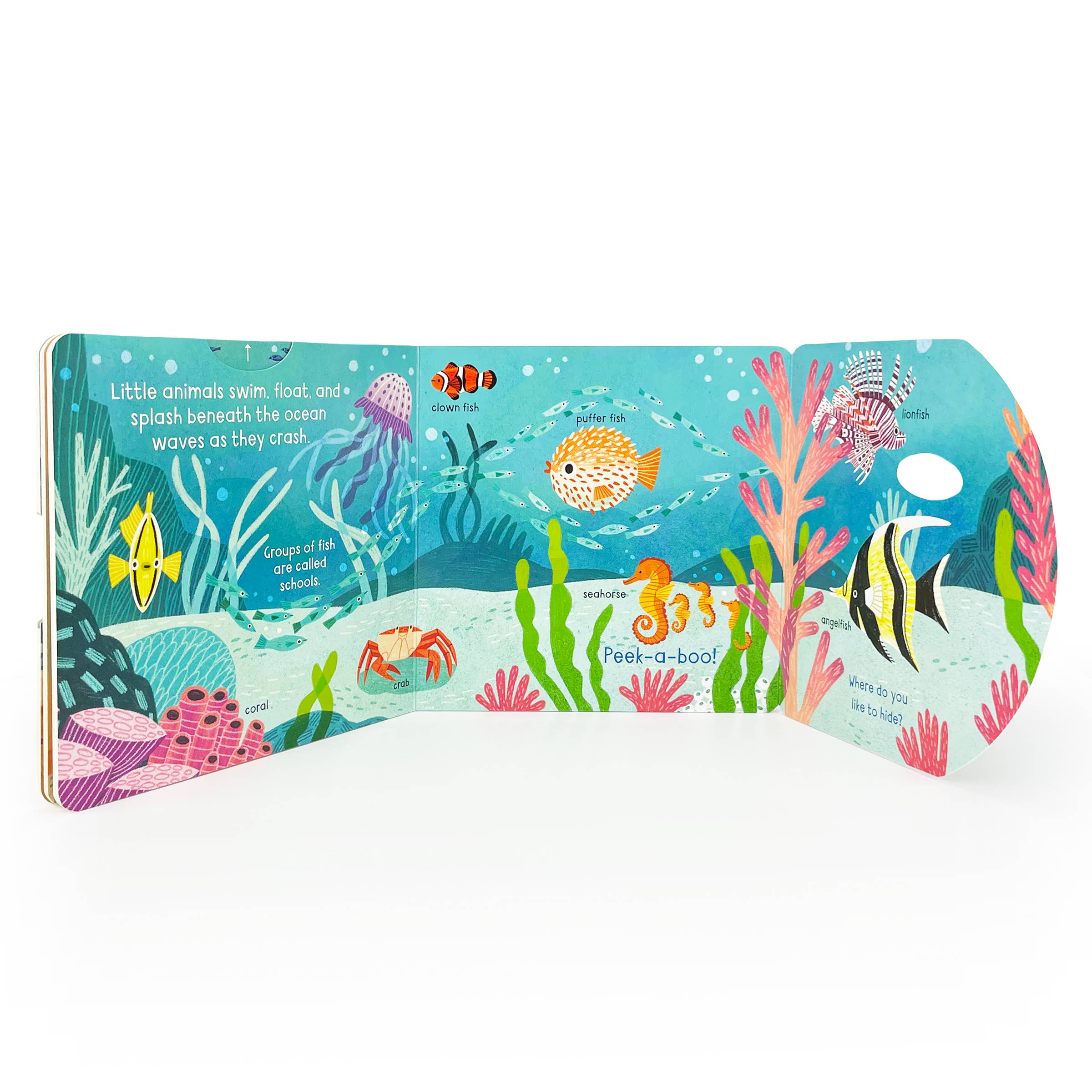 Cottage Door Press - Little Wonders: Ocean Interactive Board Book
