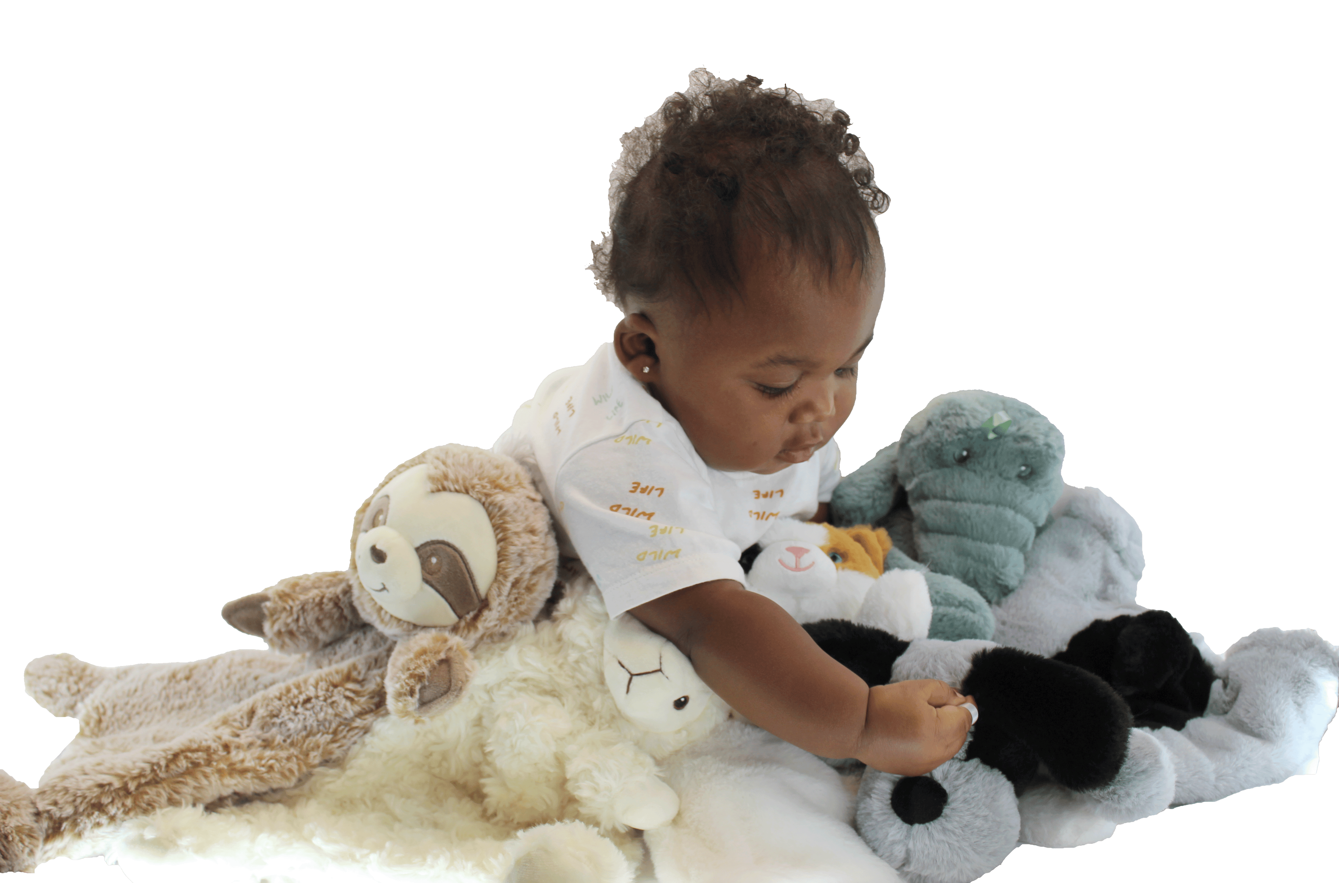BABY PAPER - Crinkle Cuddler-Sensory Plush Dog