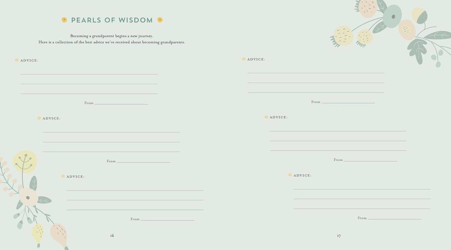 A Grandparent's Keepsake Album: My Grandchild’s First Years