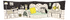 EDC Publishing - Crinkle Pets