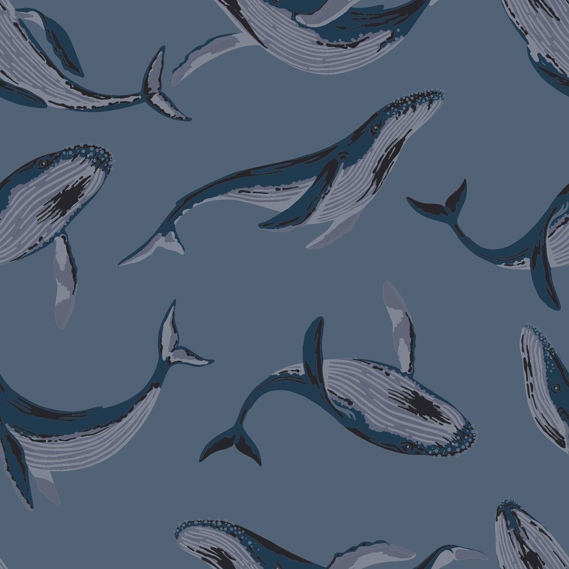 Sweet Bamboo - Swaddle  -  Wally: Wally / Boy / OS