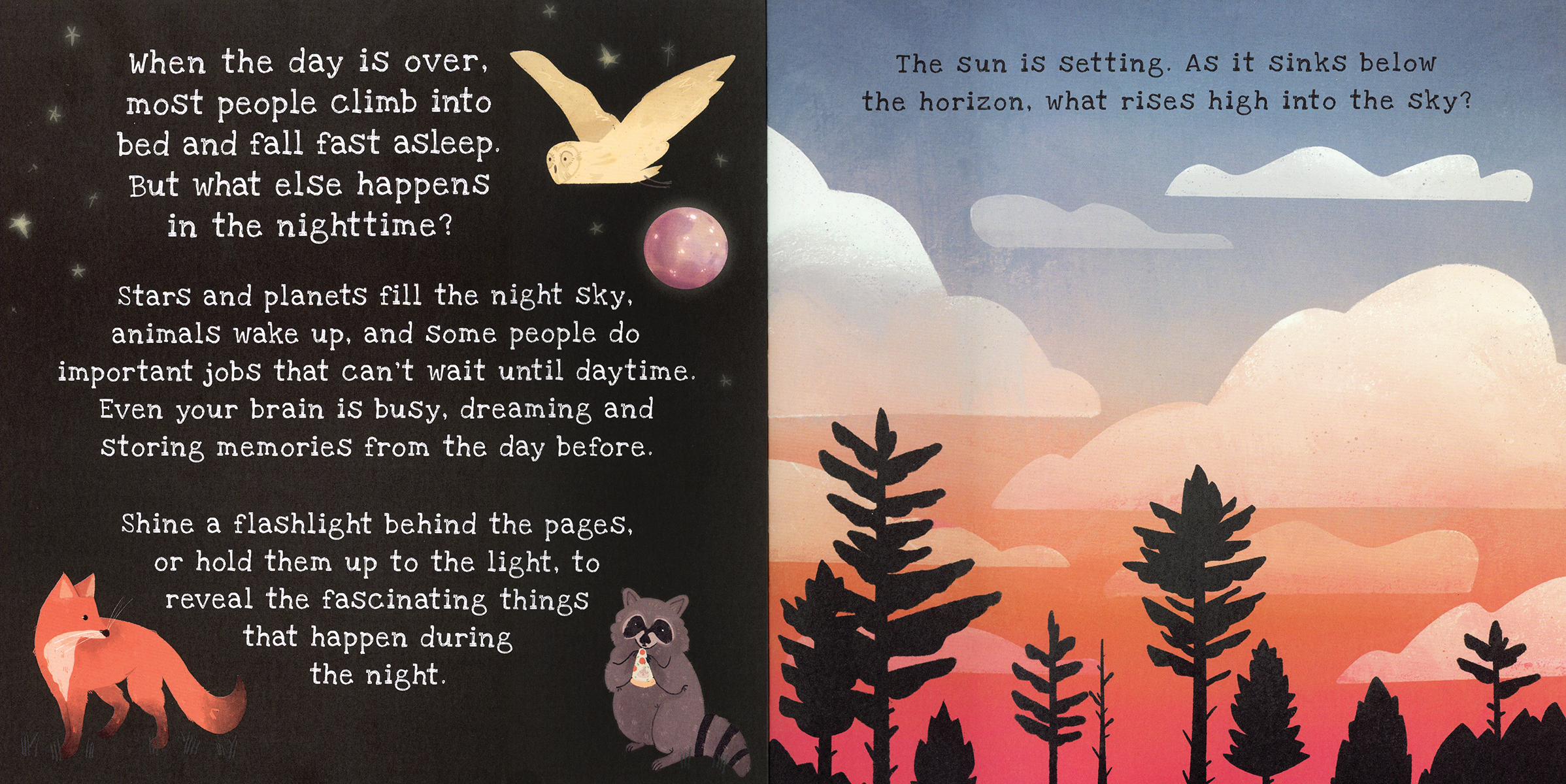 EDC Publishing - Shine-A-Light: Nighttime