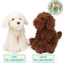 VIAHART Toy Co. - Luka The Labradoodle | 12 Inch Stuffed Animal Plush | By TigerHart Toys