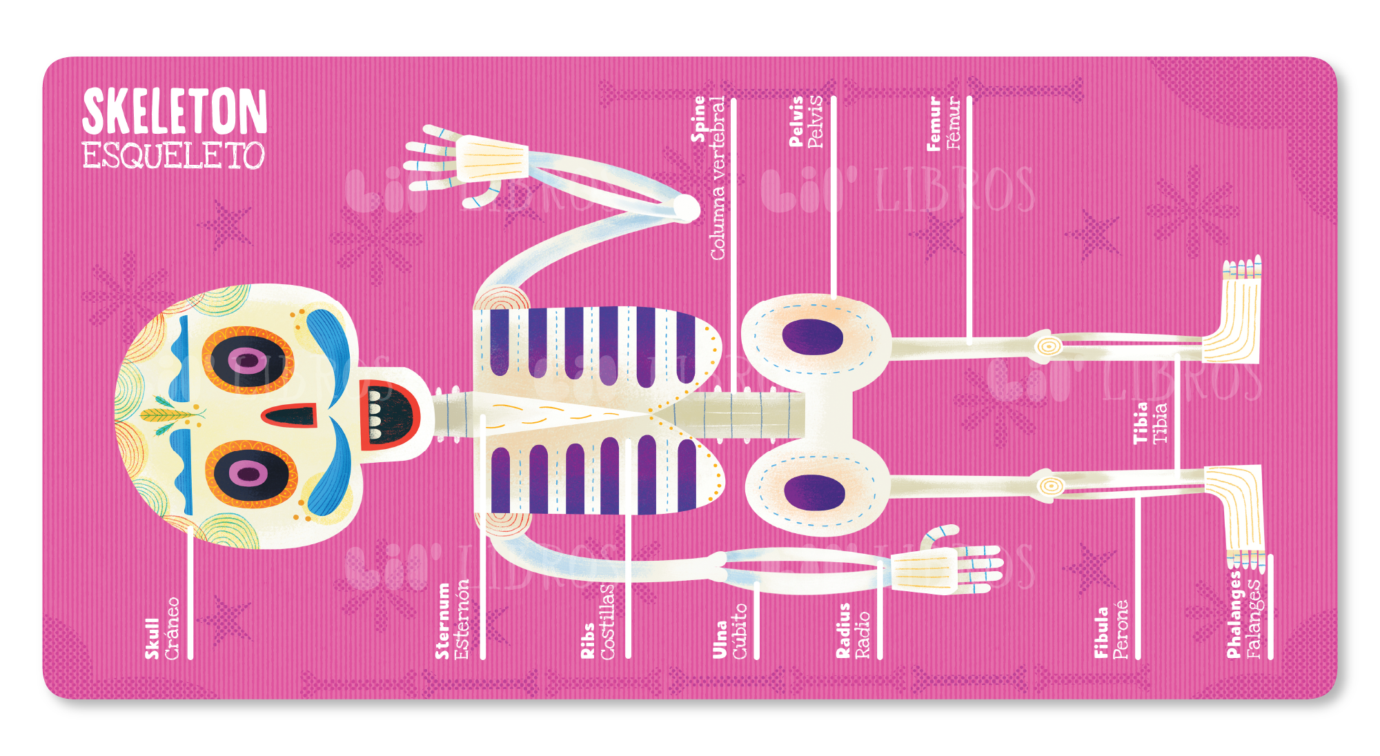 My First 100 Día de Muertos Words in English and Spanish
