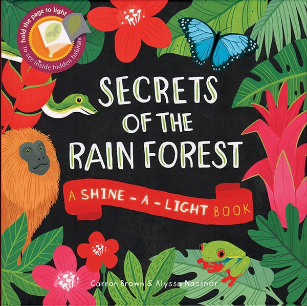 EDC Publishing - Shine-A-Light: Secrets of the Rain Forest