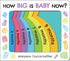 Sourcebooks - How Big is Baby Now?