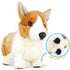 VIAHART Toy Co. - Carlotta The Corgi | 14 Inch Stuffed Animal Plush | By TigerHart Toys