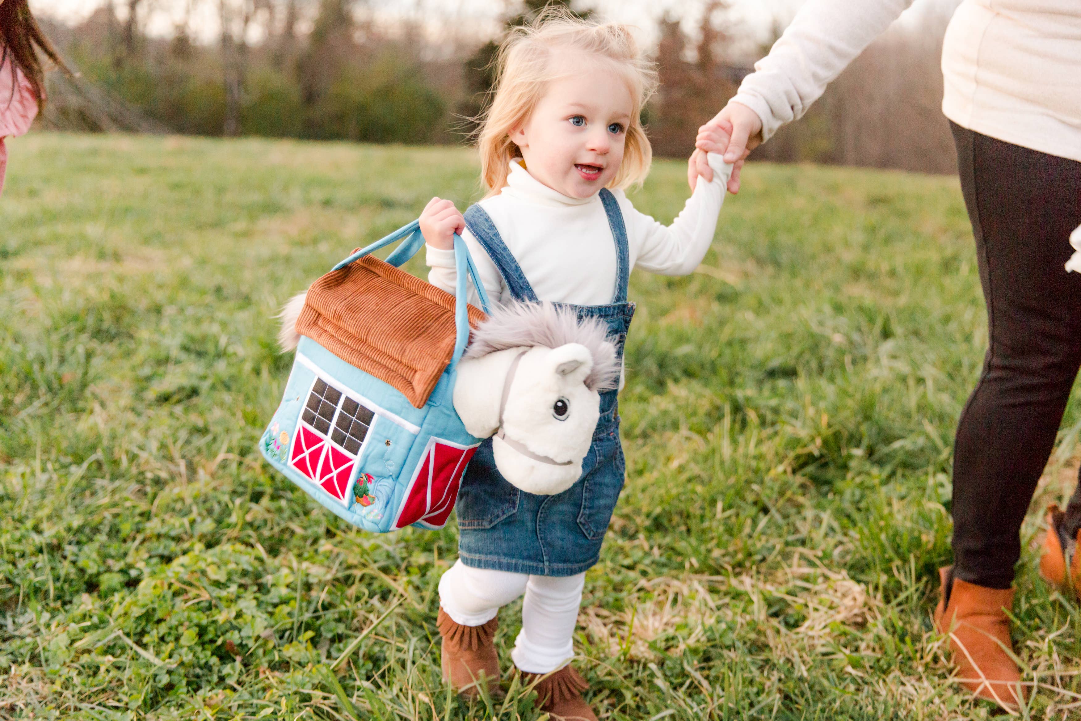 Blue Barn Bag