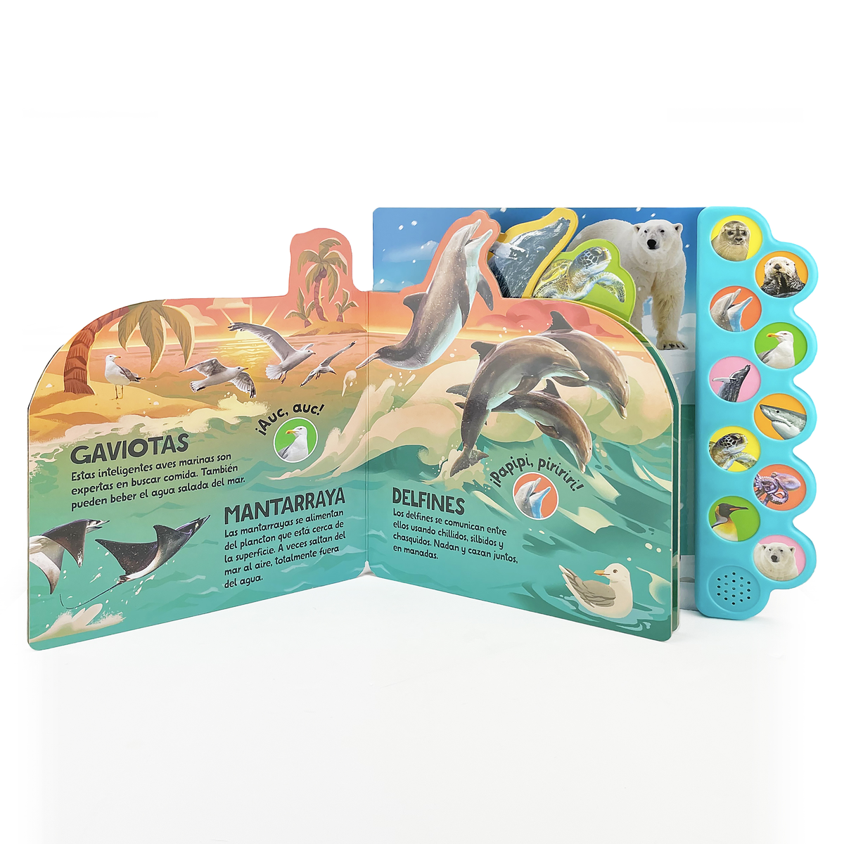 Cottage Door Press - ¡Nada y Salpica en el Mar! / Swim, Splash, in the Sea! (Span