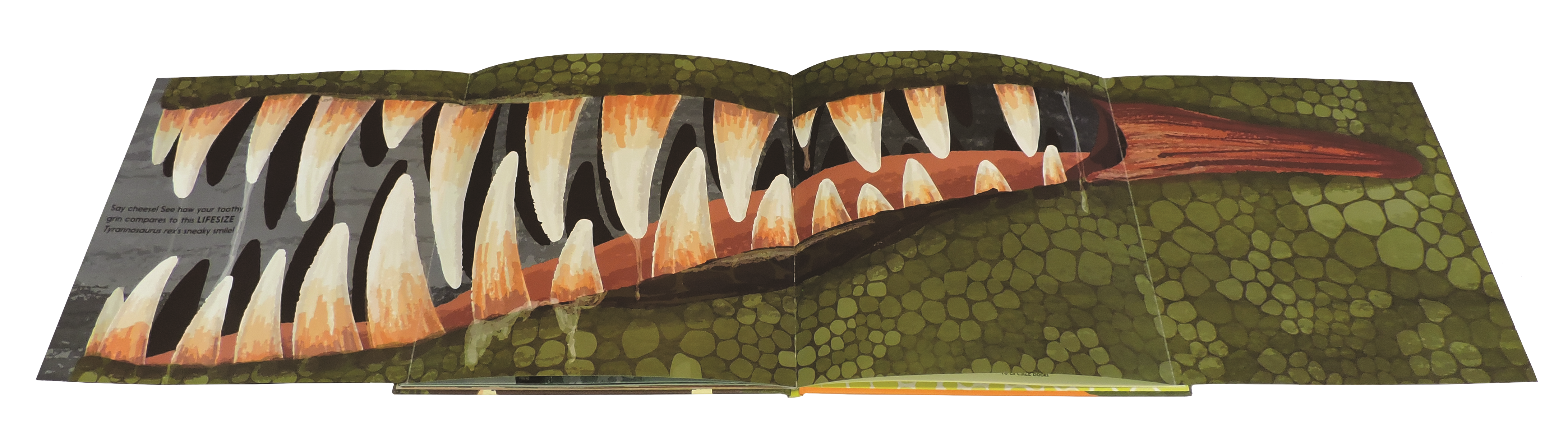 EDC Publishing - Lifesize Dinosaurs