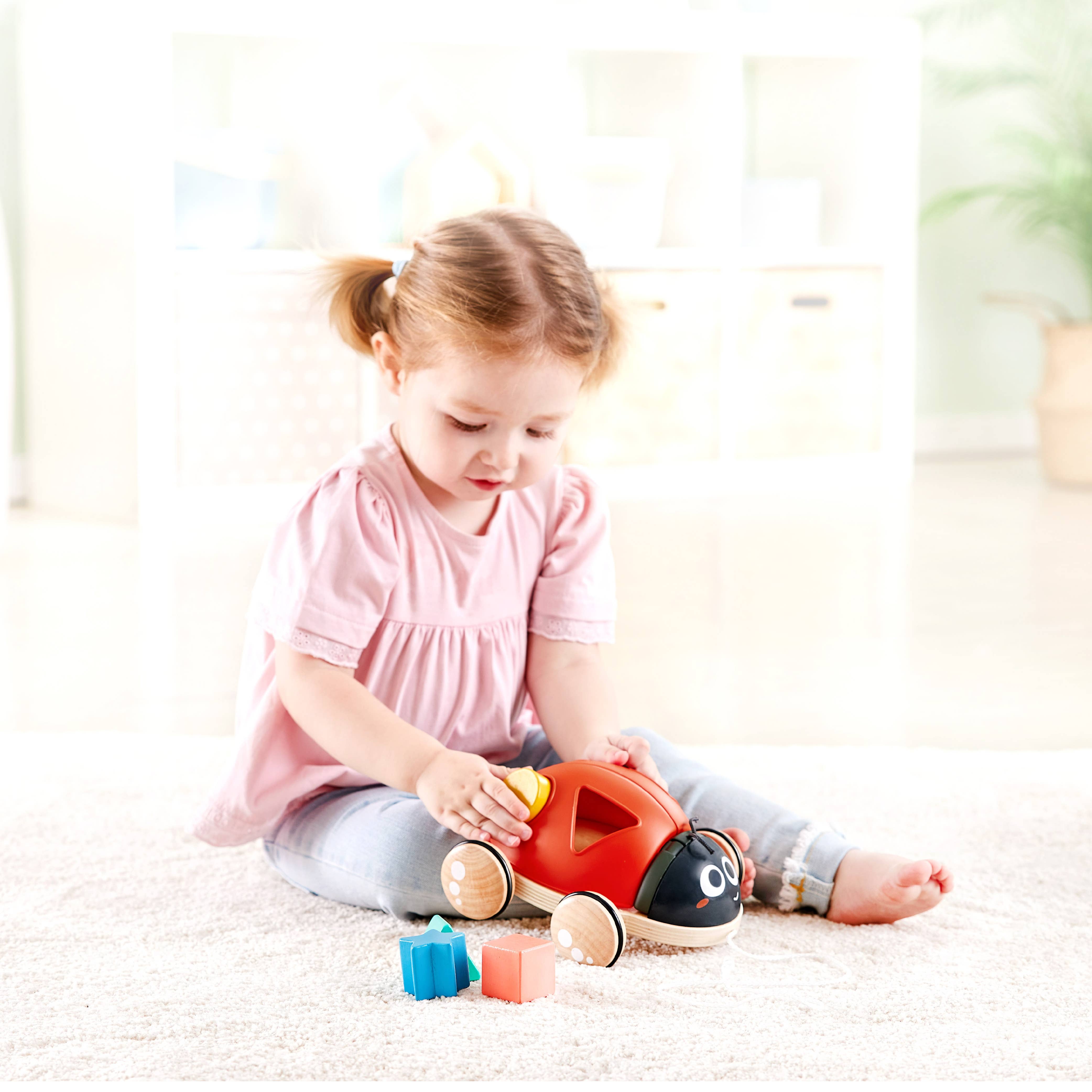 Hape Toys - Shape-Sorter Ladybug