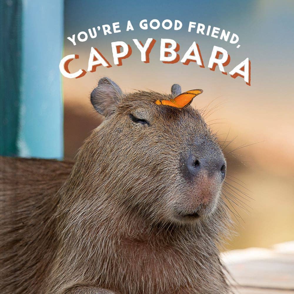 Chronicle Books - You're a Good Friend  Capybara