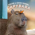 Chronicle Books - You're a Good Friend  Capybara