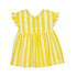 Mimosa Dress S26 1925