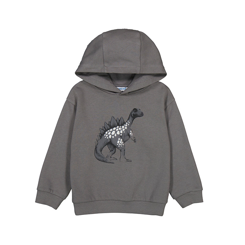 Dino Hoodie- Grey W25 4407