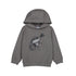 Dino Hoodie- Grey W25 4407