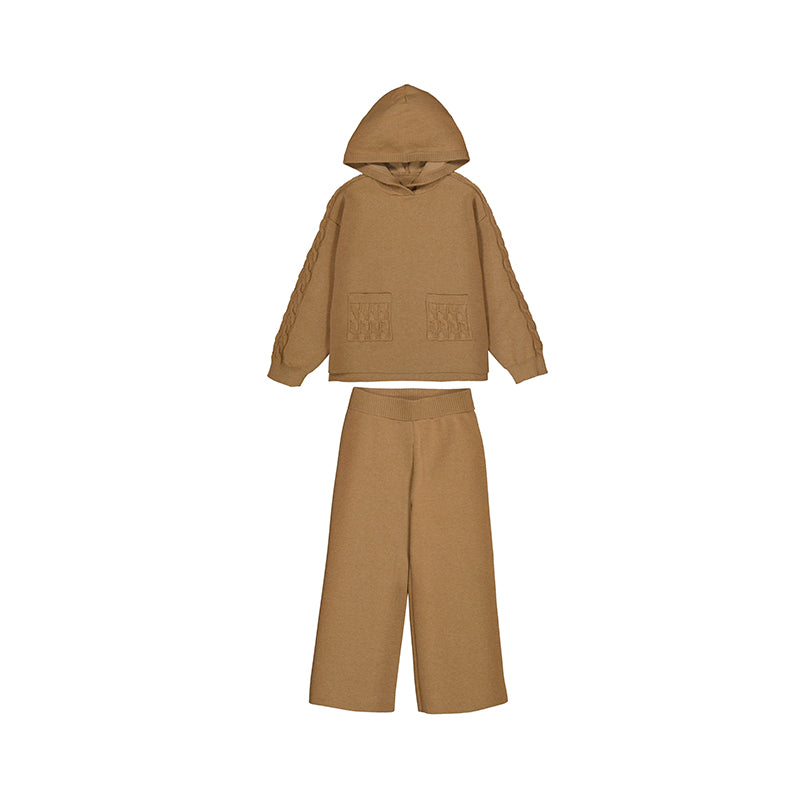 Knit Pullover Set- Camel W25 4580