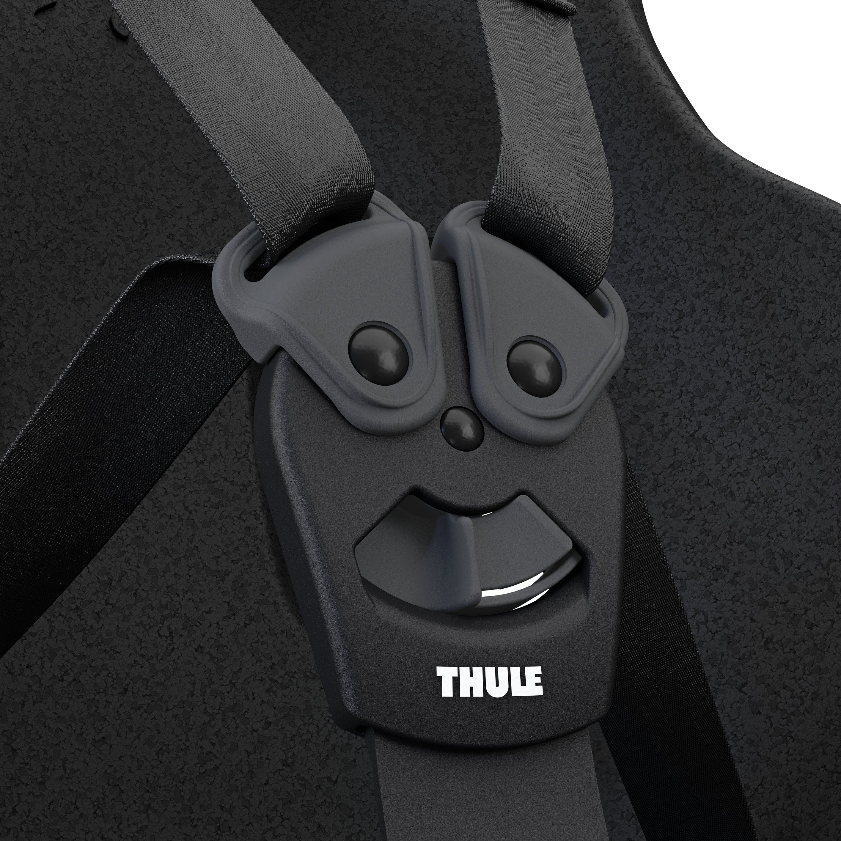 Thule Yepp Nexxt2 Maxi Frame Mount