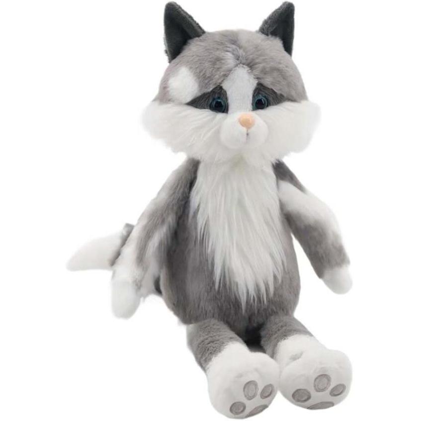 Jomanda Whisker Dreams Ragdoll Cat