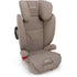 Nuna AACE Fire Retardant-Free Booster Seat