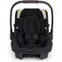 Nuna TRIV LX + PIPA Urbn Travel System