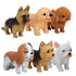 Pocket Pup- Assorted