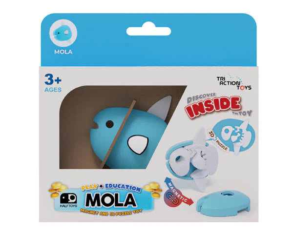 Ocean - Mola Magnetic Toy