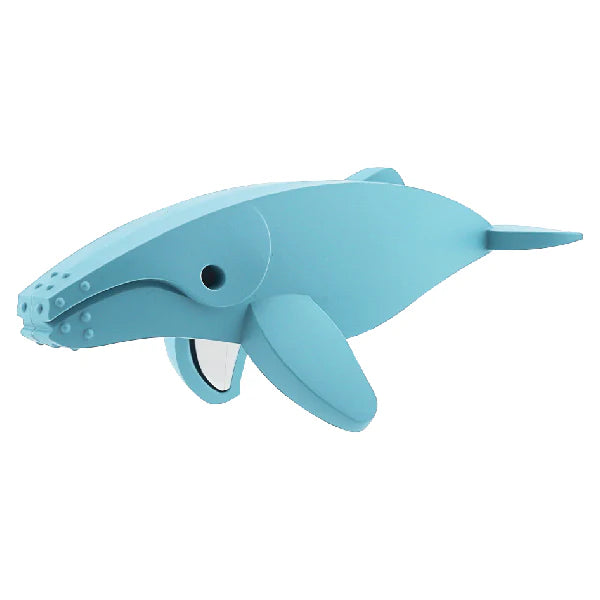 Ocean - Humpback Whale