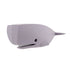 Ocean - Sperm Whale