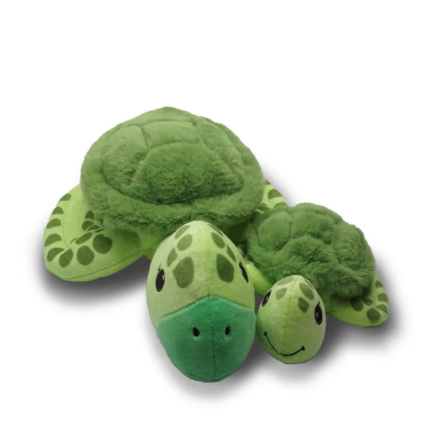 Terrance the Turtle w/Tony