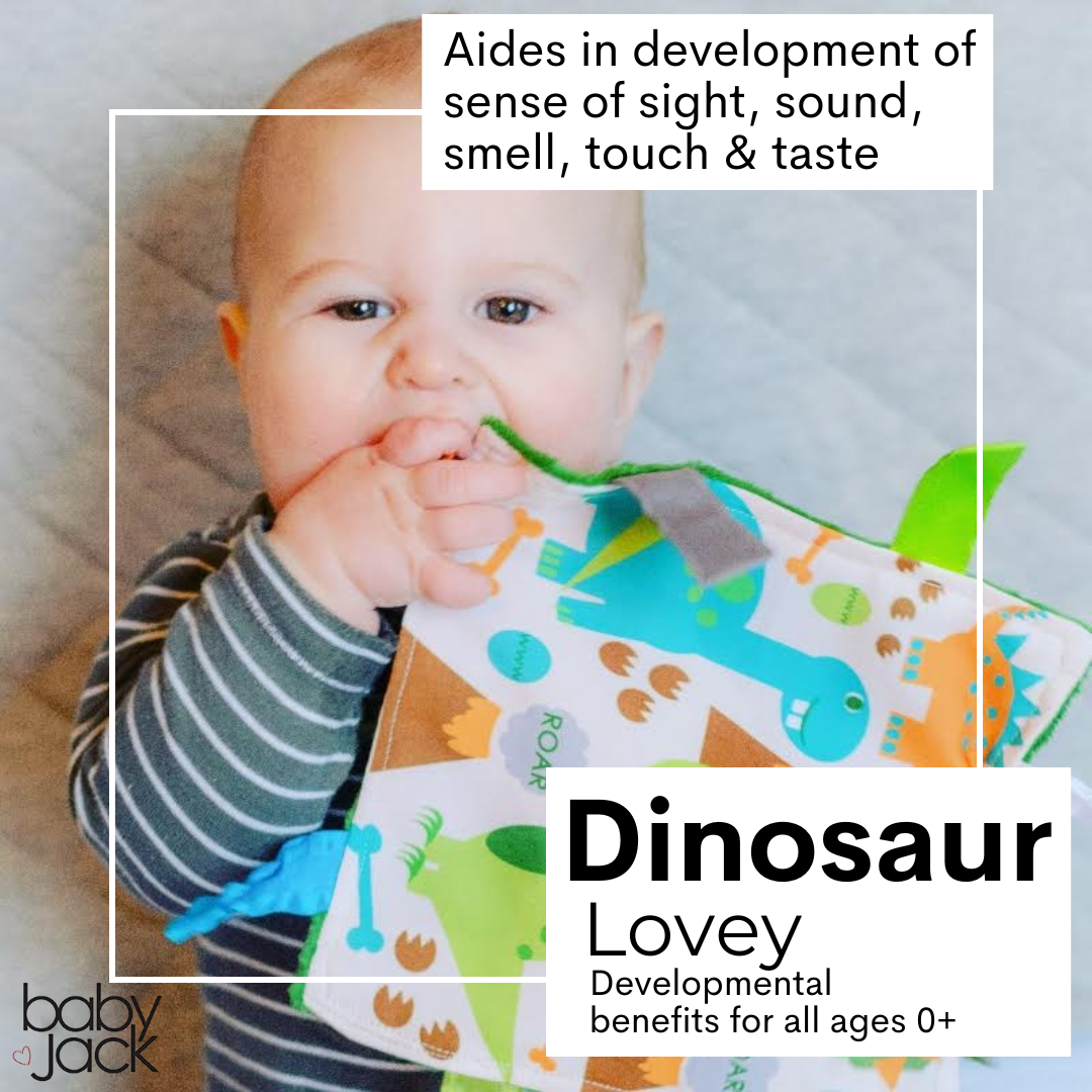 Baby Jack and Company - Dinosaur Learning Lovey Crinkle Tag Sensory Toy 8"x8"