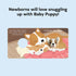 Chronicle Books - Baby Puppy: Finger Puppet Book