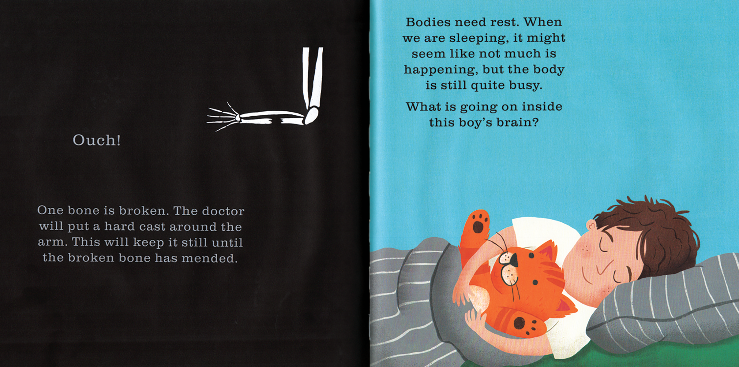 EDC Publishing - Shine-A-Light: The Human Body
