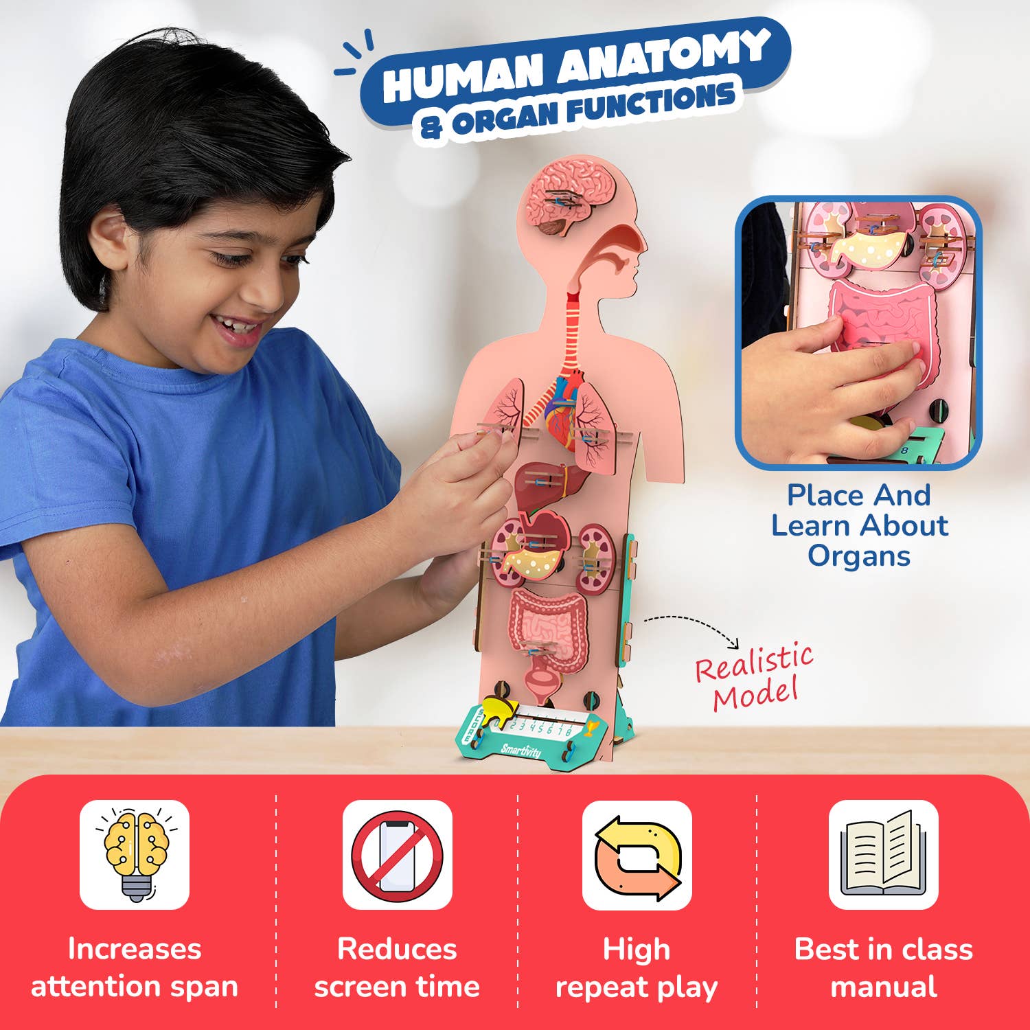 Smartivity - Human Body