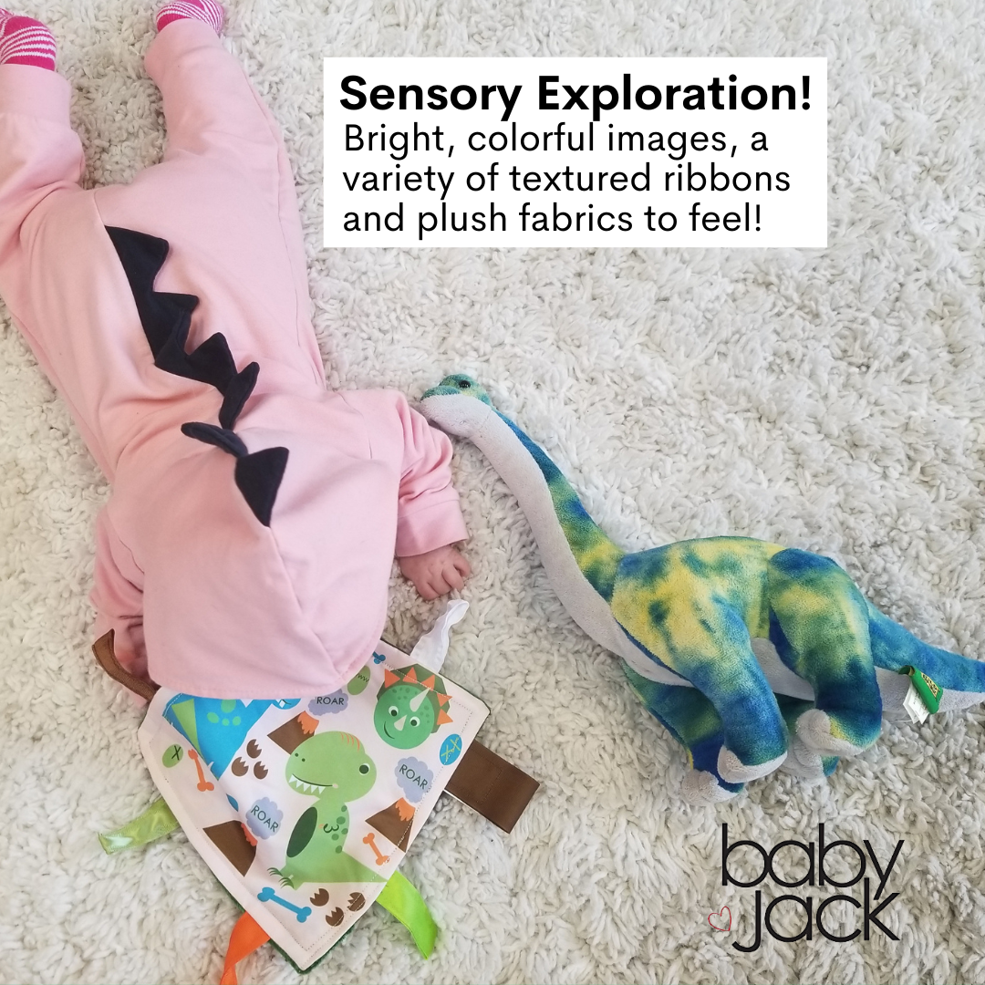 Baby Jack and Company - Dinosaur Learning Lovey Crinkle Tag Sensory Toy 8"x8"