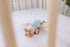 Spirit 'N Sprout - Airplane Toy: Blue