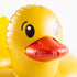 BigMouth Inc - Duck Float