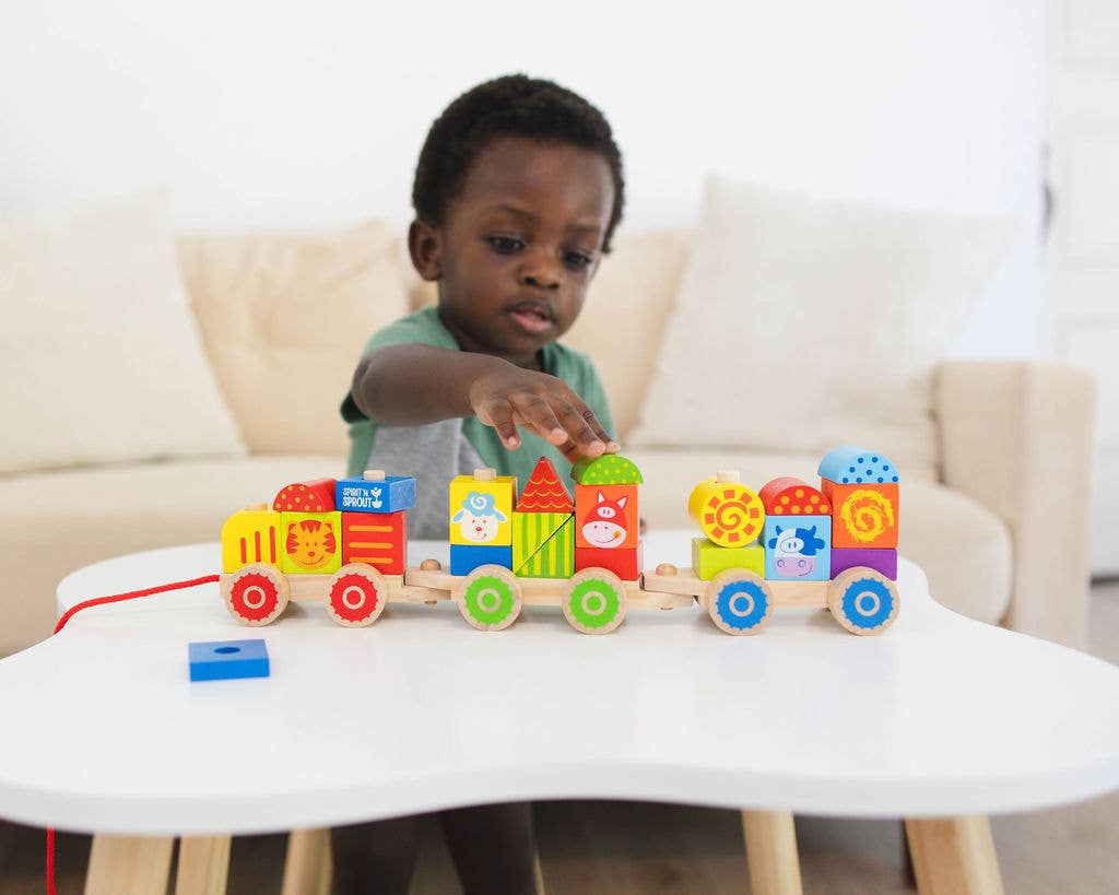 Spirit 'N Sprout - CASE Wooden Stacking Train Set for Kids - Pull Along Train