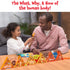 Skillmatics - Skillmatics Flash Cards - Science Snippets The Human Body