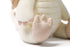 McHugs - McHugs Fionn Dragon Myth Series Stuffed Animal 25cm