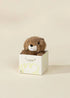 Mini Gift Plush Toy - Brown Otter